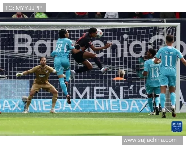 勒沃库森客场逆袭击败霍芬海姆绝地逆转赢球领跑德甲 勒沃库森客场逆袭击败霍芬海姆绝地逆转赢球领跑德甲