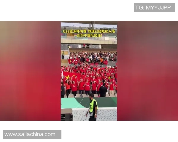 猛龙球迷在社交媒体上展示支持:加油,我们相信你们! 猛龙球迷在社交媒体上展示支持:加油,我们相信你们!